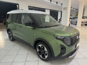 Ford Tourneo