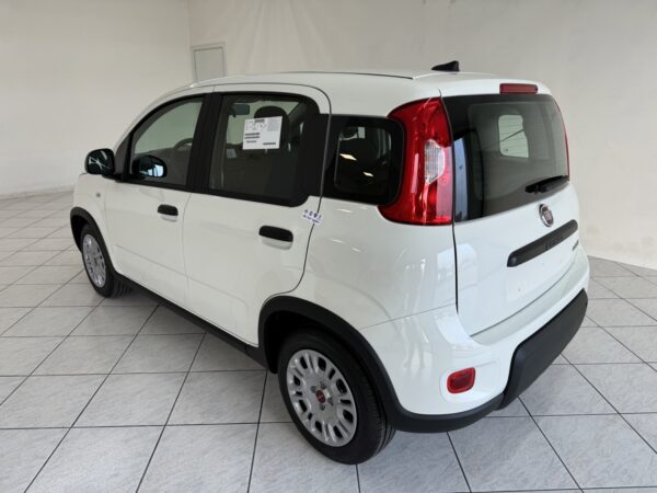 Fiat Panda - immagine 15
