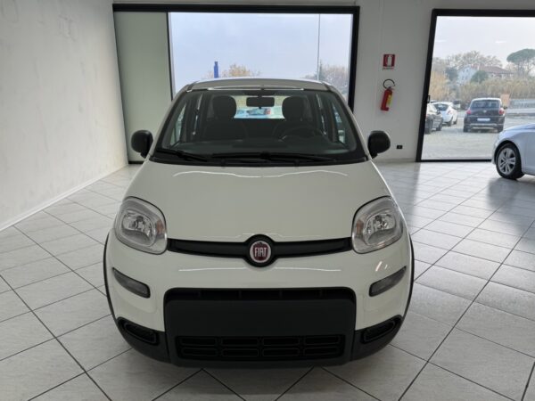 Fiat Panda - immagine 11