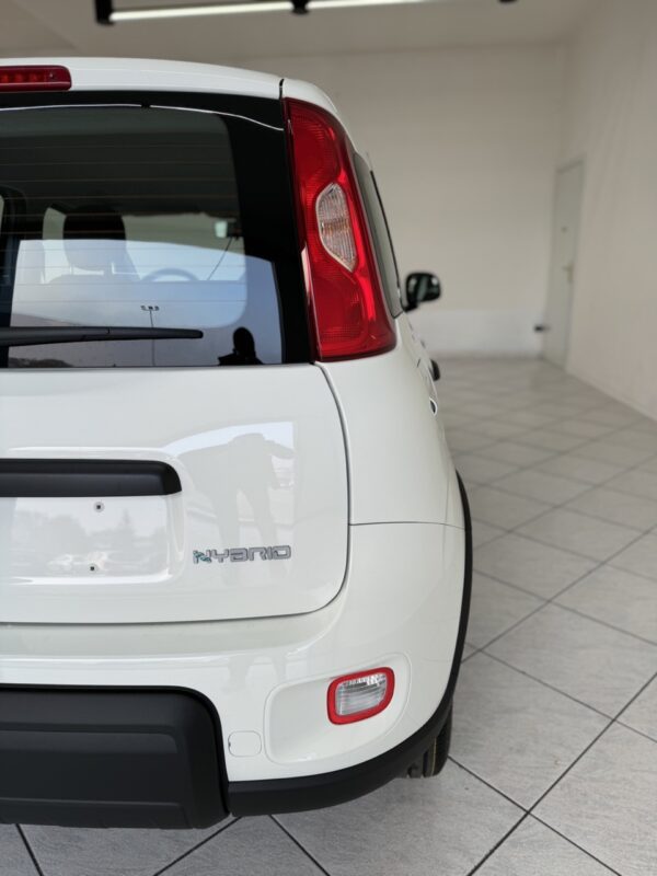 Fiat Panda - immagine 8